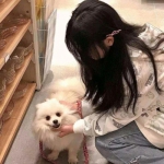 菠菜游戏怒火九霄下载